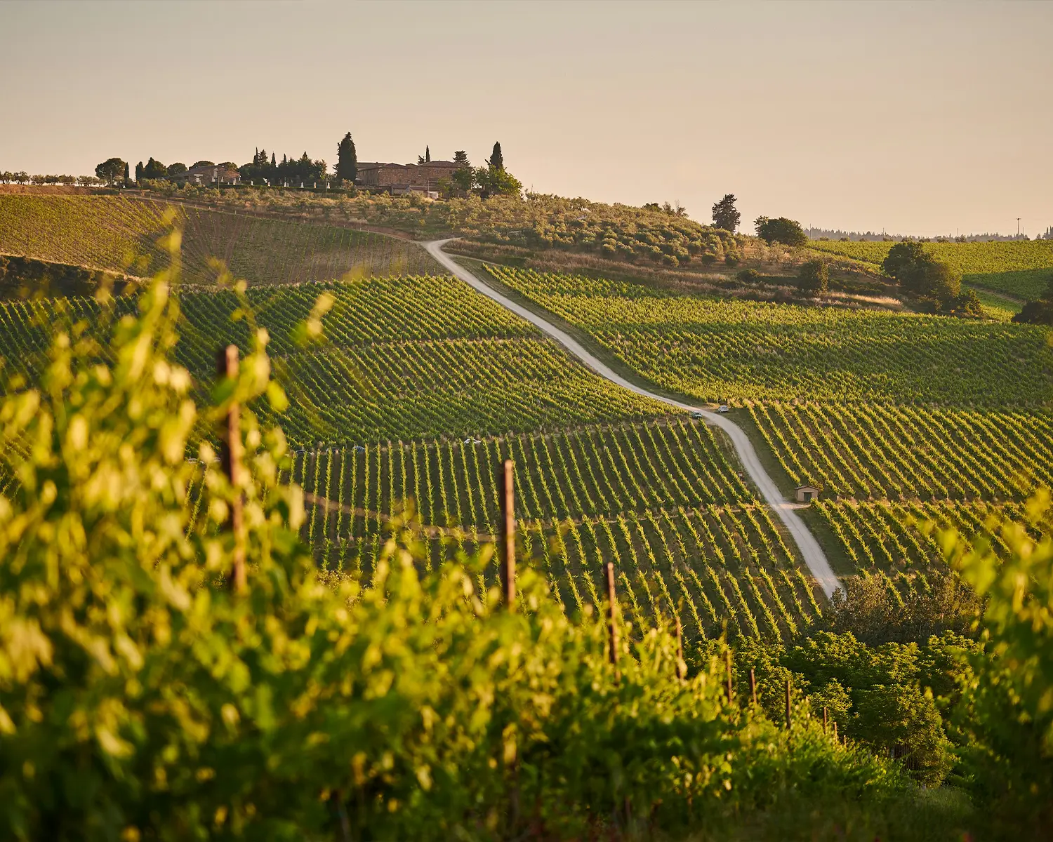 Online Farm and Vineyard Tour Booking Software<br />
